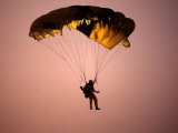 Buy Sky Diver Floating in the Air at AllPosters.com