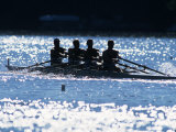 Silhouette of Men's Fours Rowing Team in Action, USA