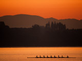 Silhouette of Men's Eights Rowing Team in Action, Vancouver Lake, Washington, USA