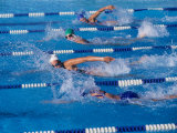 Female Swimmers Competing in a Freestyle Race