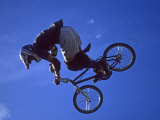 Buy Bmx Cyclist Flys over the Vert at AllPosters.com