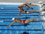 Swimmers Starting a Race