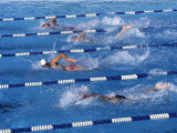 Swimmers Competing in a Race