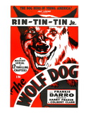 The Wolf Dog, Rin Tin Tin Jr., 1933