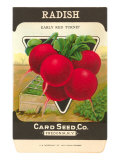 Radish Seed Packet