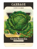 Cabbage Seed Packet