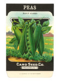 Pea Seed Packet