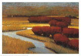 River Runs I