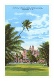 Buy Royal Hawaiian Hotel, Honolulu, Hawaii at AllPosters.com