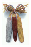 Buy Three Ears of Indian Cord in Ribbon at AllPosters.com