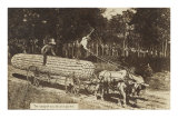 Giant Ear of Corn Pulled by Horse Cart