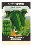 Buy Cucumber Seed Packet at AllPosters.com