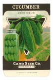 Buy Cucumber Seed Packet at AllPosters.com