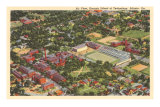Aerial View, Georgia Tech, Atlanta, Georgia