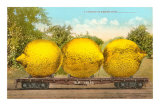 Buy Giant Lemons on Flatbed at AllPosters.com
