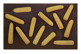 Buy Many Ears of Corn at AllPosters.com
