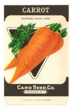 Buy Carrot Seed Packet at AllPosters.com