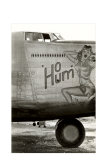 Buy Nose Art, Ho Hum, Pin-Up at AllPosters.com