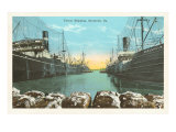 Cotton Shipping, Savannah, Georgia