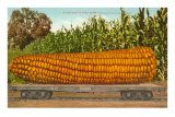 Buy Giant Corn on Flatbed at AllPosters.com