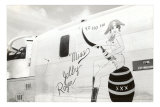 Buy Nose Art, Miss Jolly Roger, Pin-Up at AllPosters.com