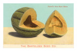 Burrell's Gem Musk Melon