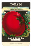 Buy Tomato Seed Packet at AllPosters.com