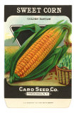 Buy Sweet Corn Seed Packet at AllPosters.com