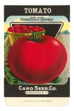 Buy Tomato Seed Packet at AllPosters.com