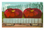 Buy Giant Tomatoes in Rail Car at AllPosters.com