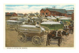 Buy Cotton Gin at AllPosters.com