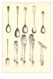 Serving Spoons and Fancy Tongs