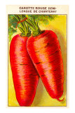 Buy French Carrot Seed Packet at AllPosters.com