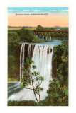 Buy Wailua Falls, Hawaii at AllPosters.com