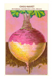 Buy French Rutabaga Seed Packet at AllPosters.com