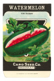 Buy Watermelon Seed Packet at AllPosters.com