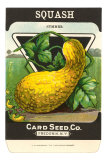 Buy Summer Squash Seed Packet at AllPosters.com