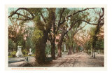 Buy Bonaventure Cemetery, Savannah, Georgia at AllPosters.com