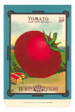 Buy Tomato Seed Packet at AllPosters.com