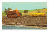 Buy Tractor Hauling Giant Ear of Corn at AllPosters.com