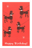 Happy Birthday, Four Poodles on Leashes