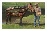 Giant Trout Strapped on Horse