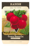 Buy Radish Seed Packet at AllPosters.com