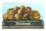 Giant California Plums on Flatbed