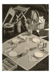 Photograph of Picnic Service
