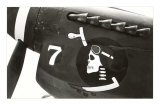 Nose Art, Skull with Goggles