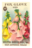 Fox Glove Seed Packet