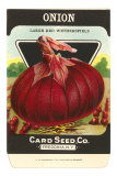 Onion Seed Packet
