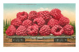 Giant Raspberries on Flatbed