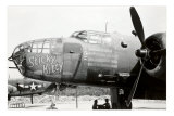 Nose Art, Sticky Kitty Premium Poster